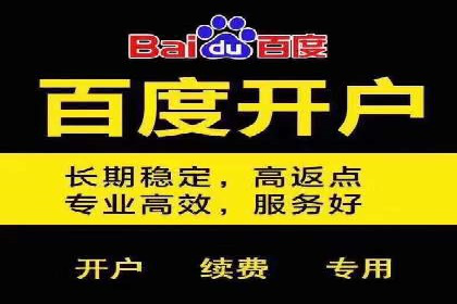 SEM广告投放中的数据监控与调整策略——以某品牌营销案例为例